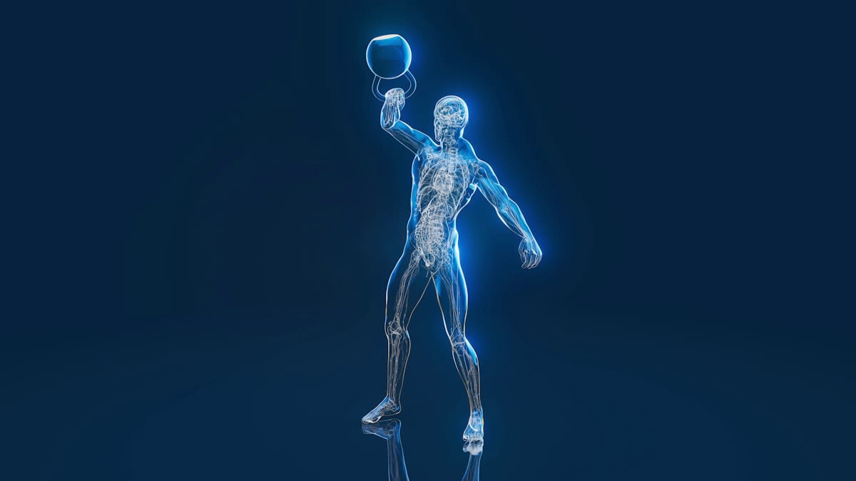 Article Hero