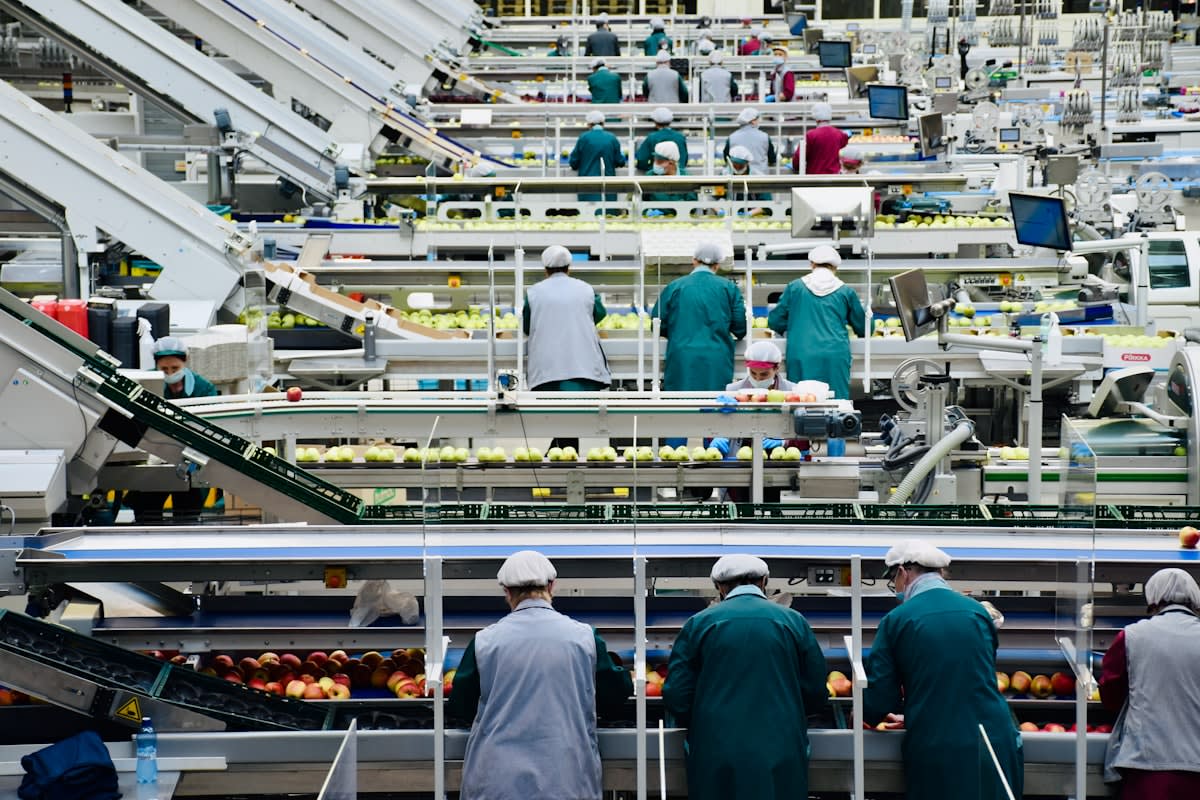 Modern agro-processing factory