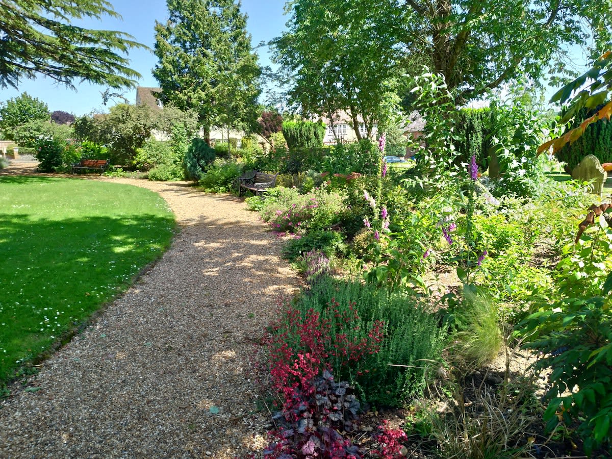 Temperate urban garden with native species