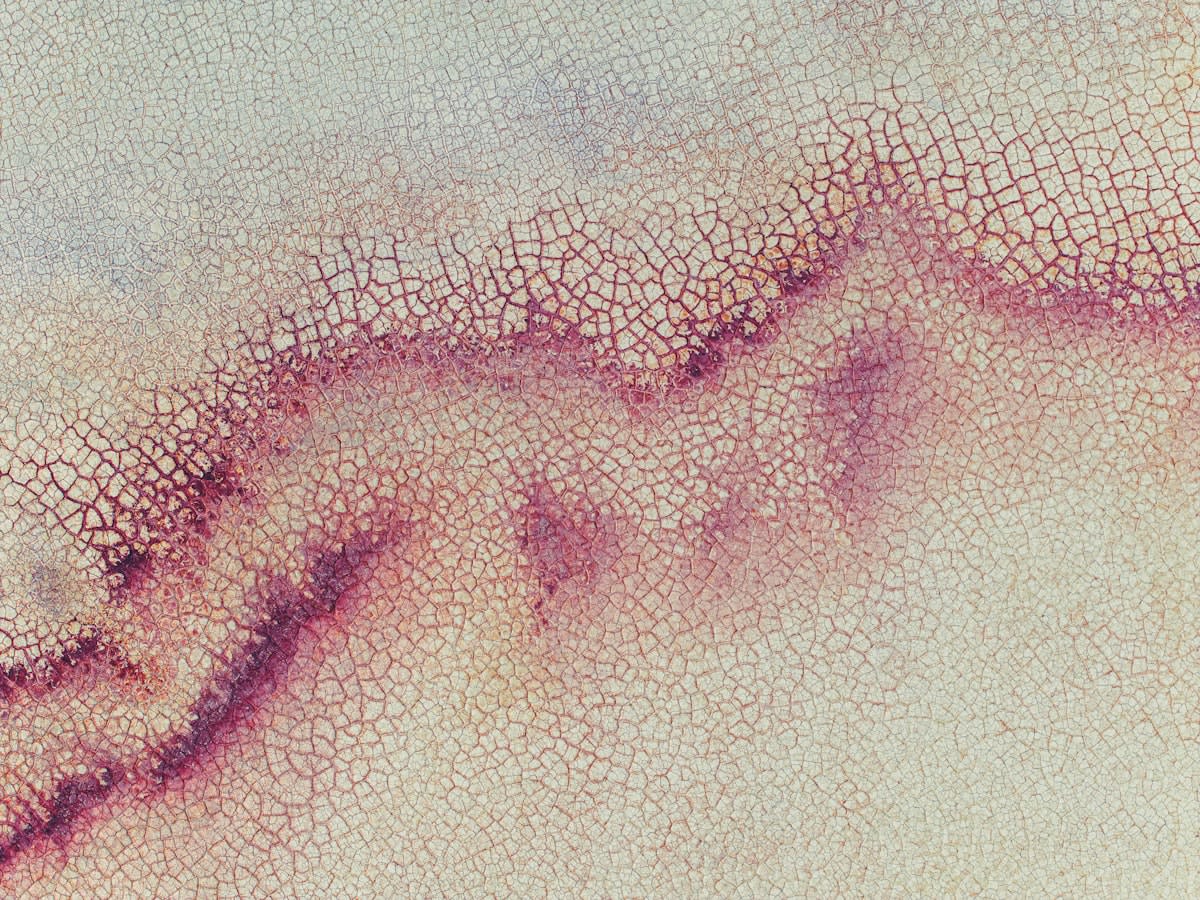 Microscopic view of shark skin dermal denticles
