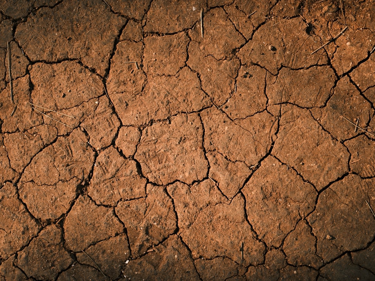 cracked saline soil in a dry field