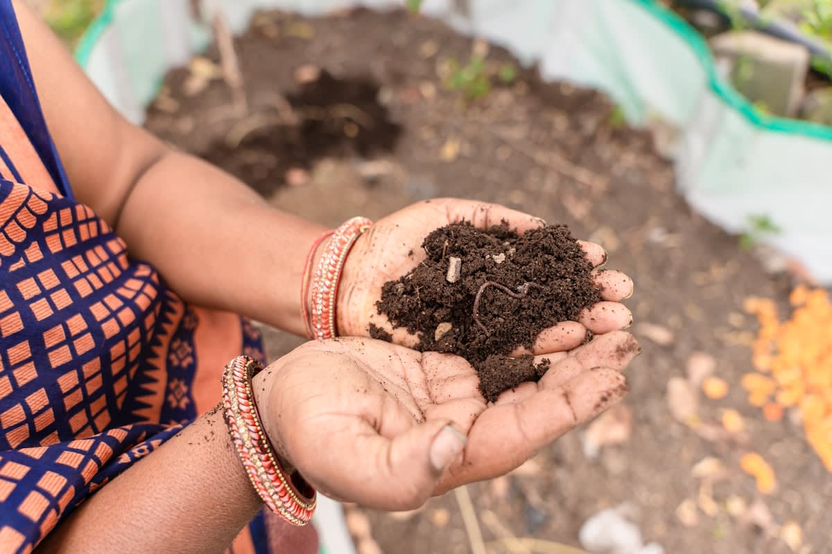 biochar pellets and organic compost