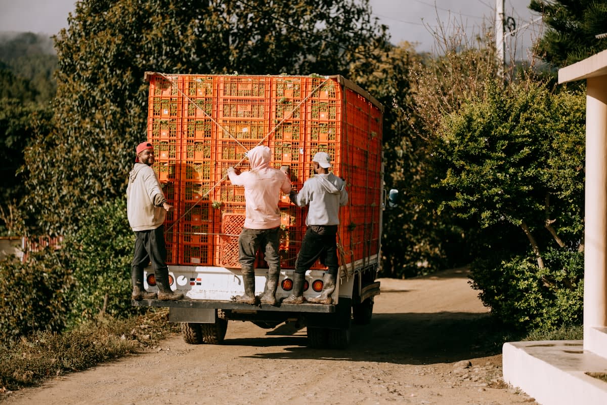 Farmers loading produce into a brick evaporative cooler