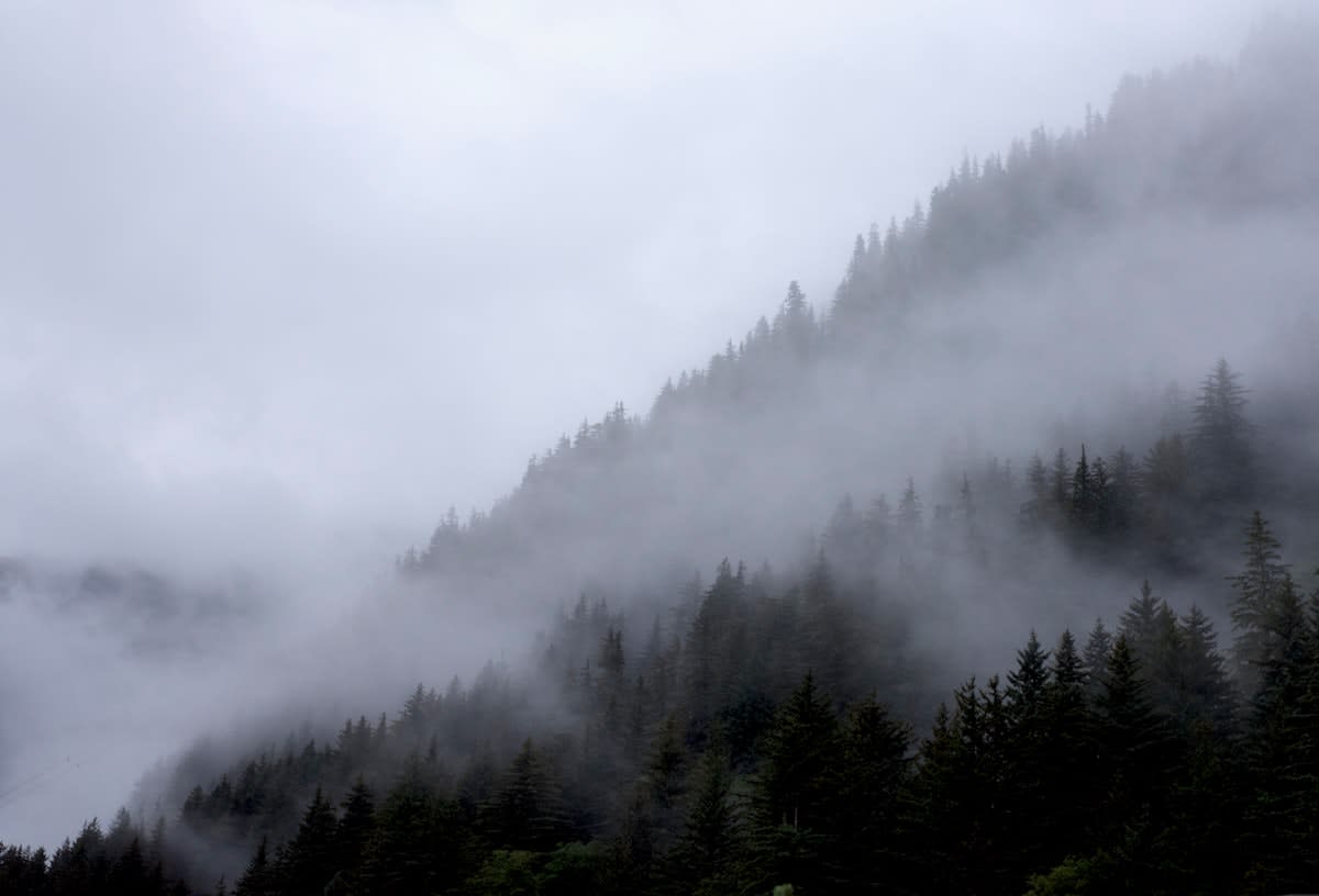 A wide shot of a calm, foggy mountain landscape