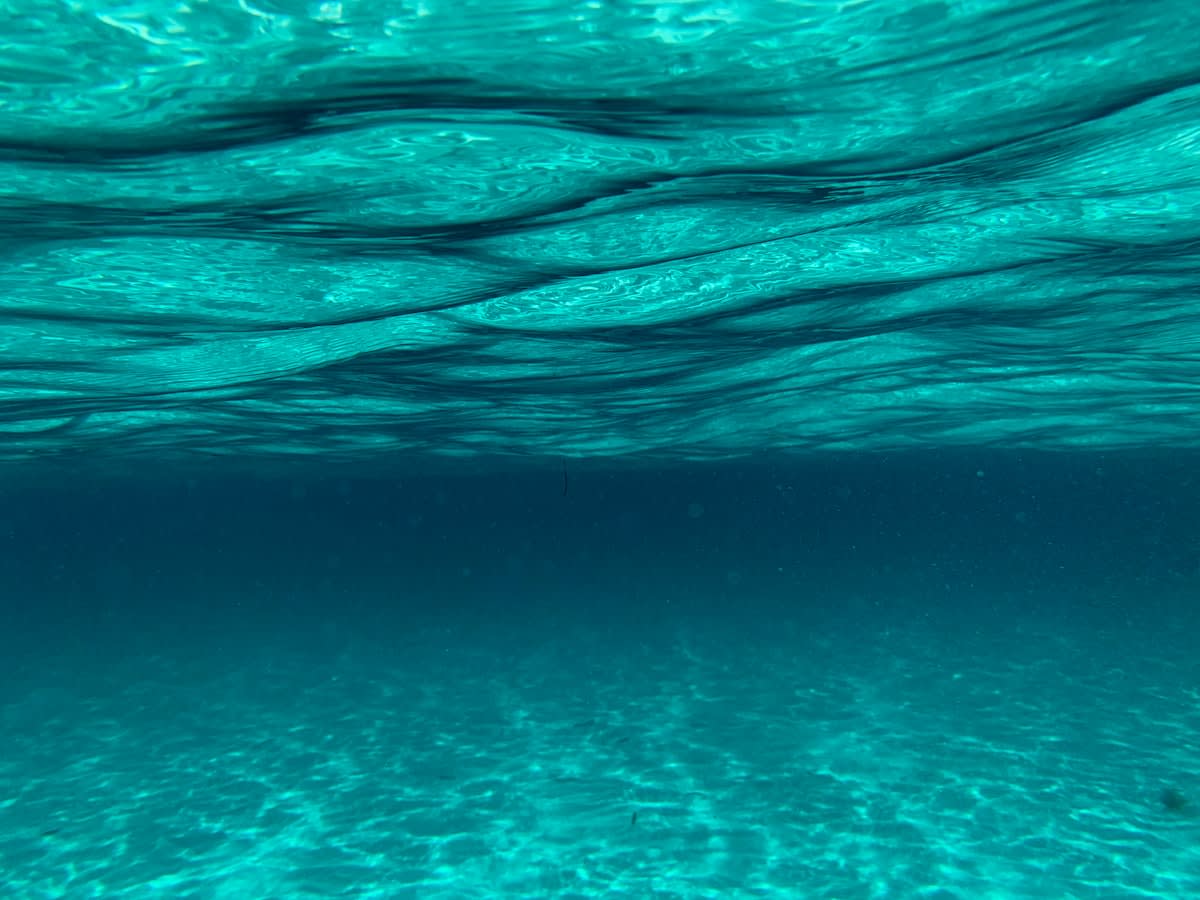 Underwater sediment plume visualization