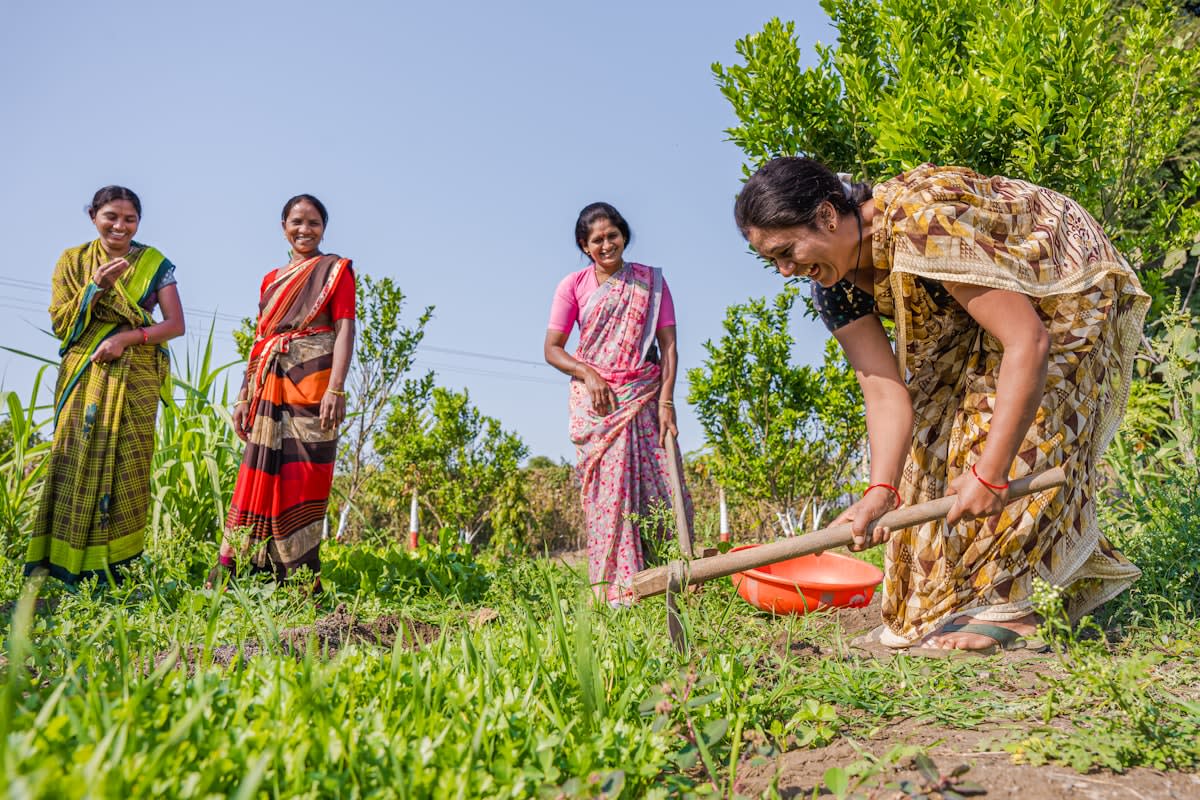 Rural water harvesting in India