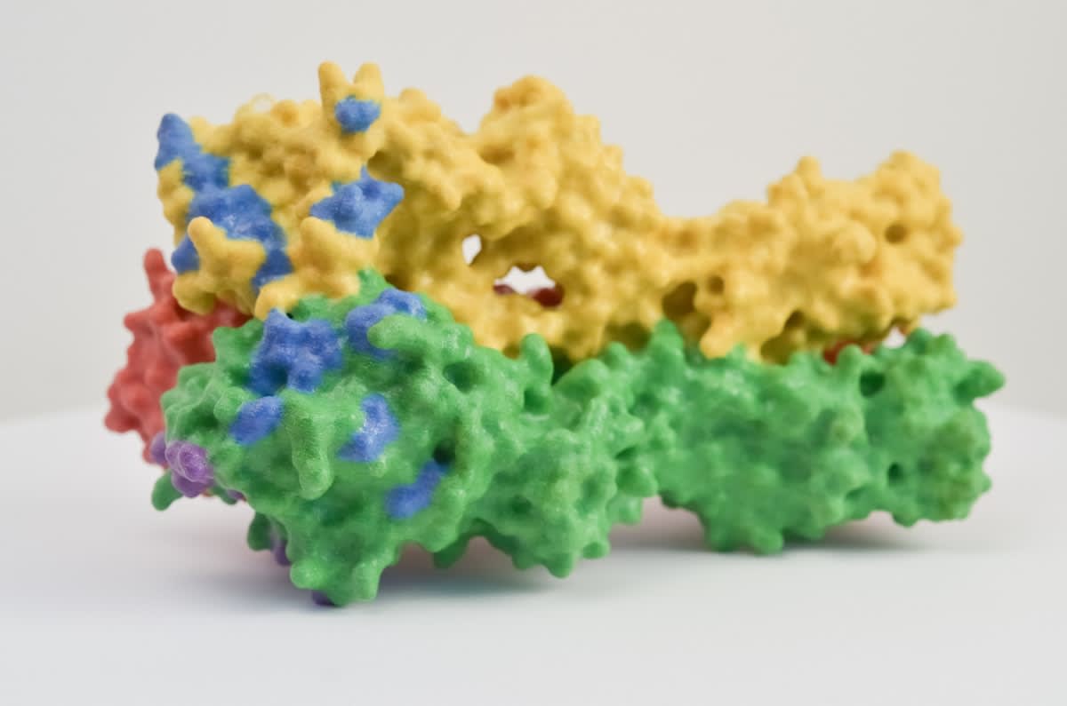 Molecular docking visualization