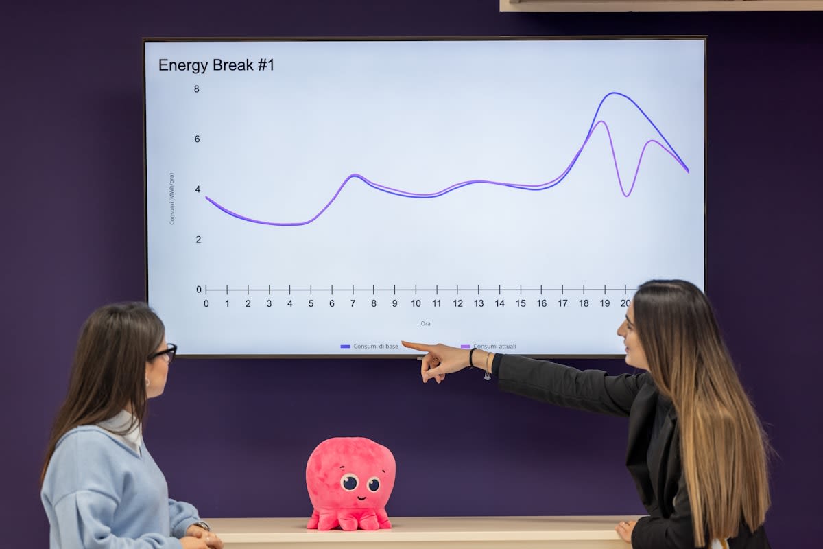 Digital representation of a smart energy grid