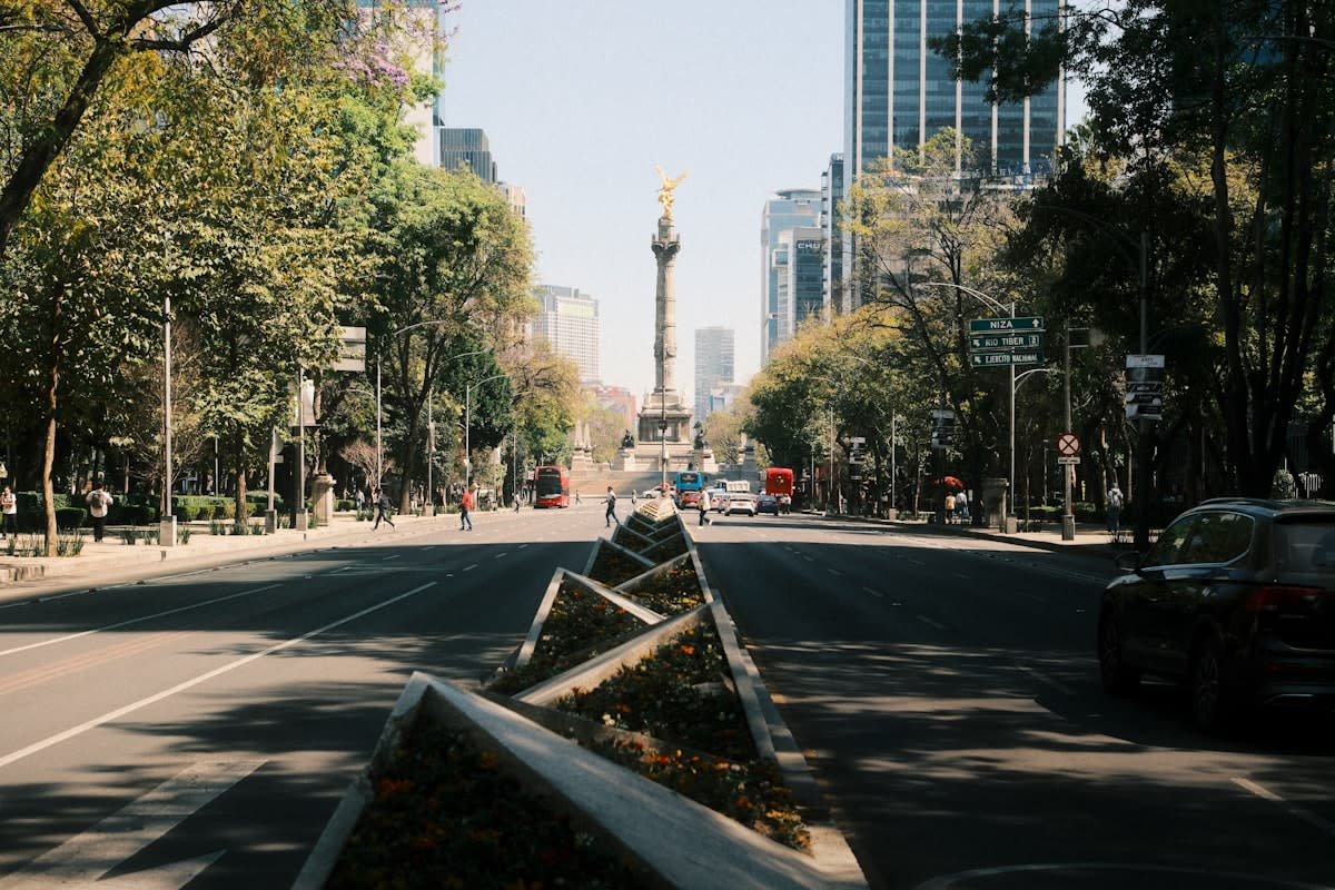 Pedestrianized street in Mexico City with green plants and people walking