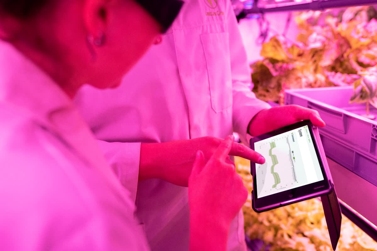 Agricultural data analysis on a tablet