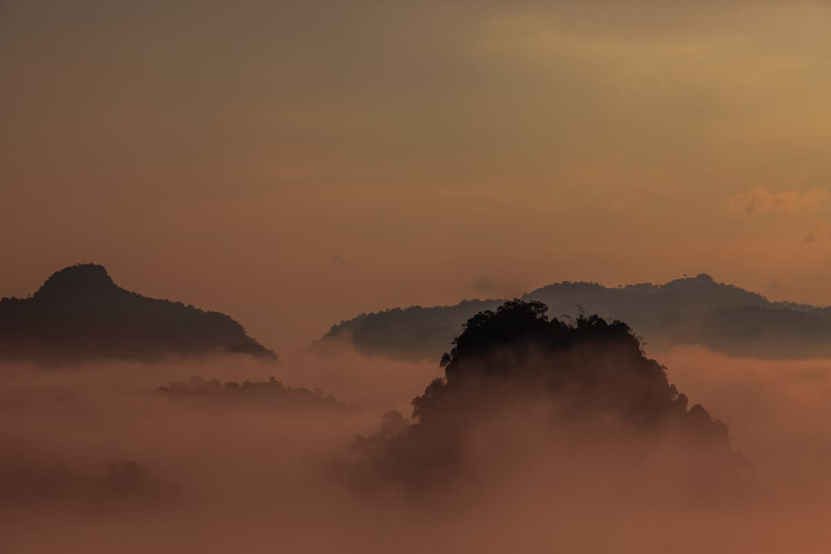 Athlete training in early morning mist in a tropical environment