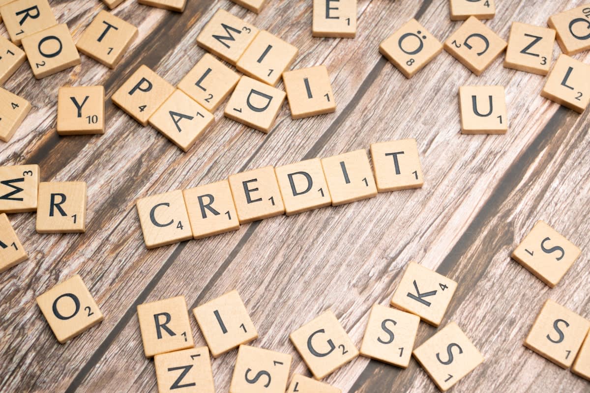 Carbon credit verification process