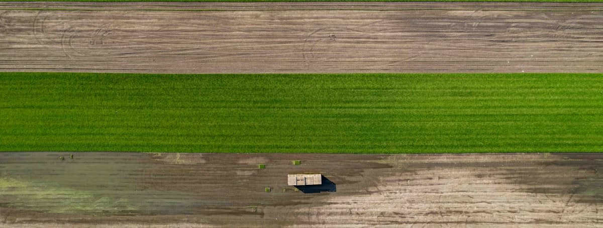 Autonomous agricultural machinery in a large field