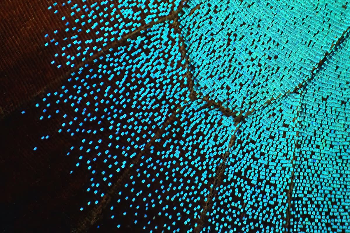 Macro shot of luxury textile fibers under a microscope