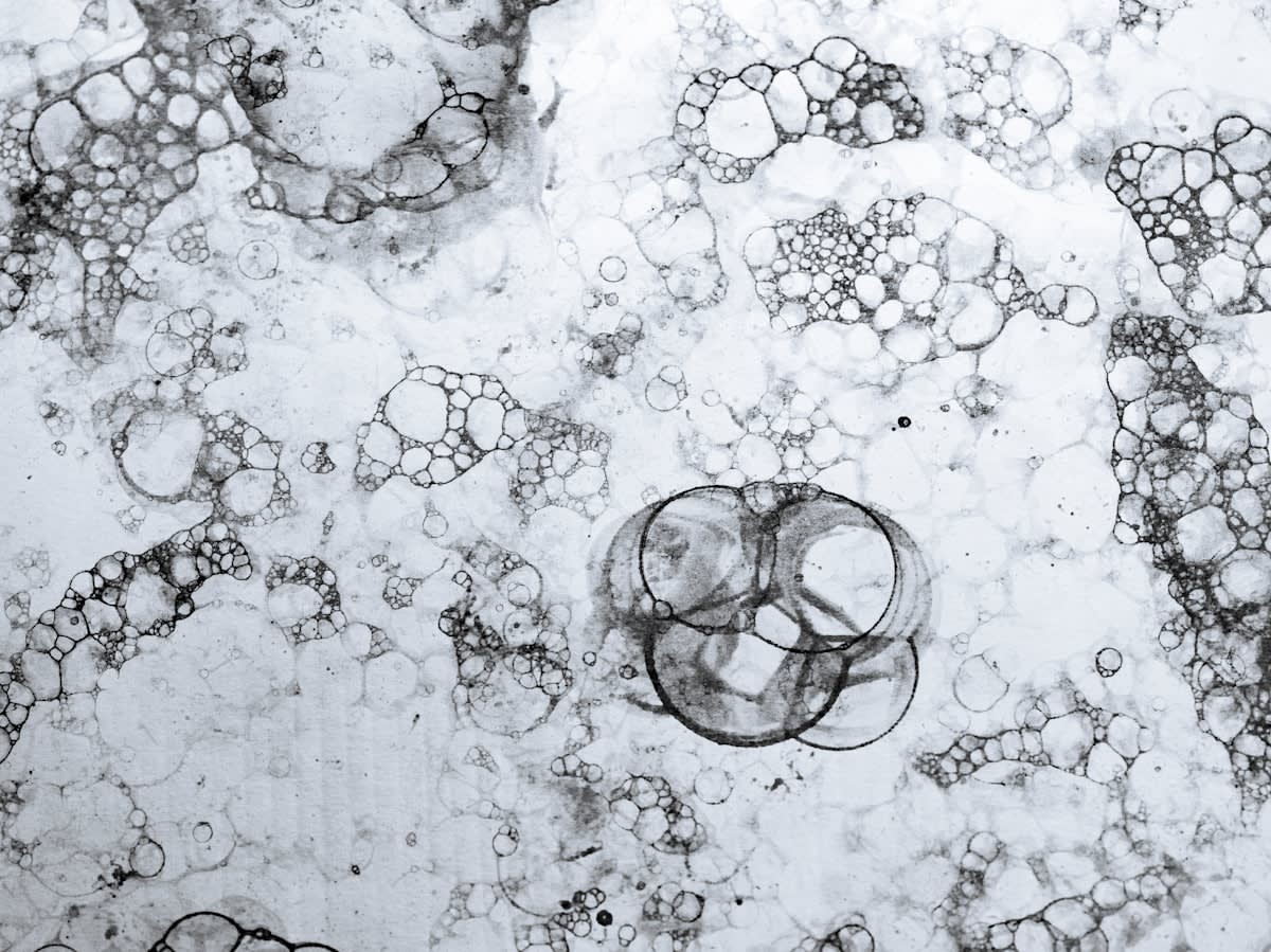 Microscopic view of lipid nanoparticles