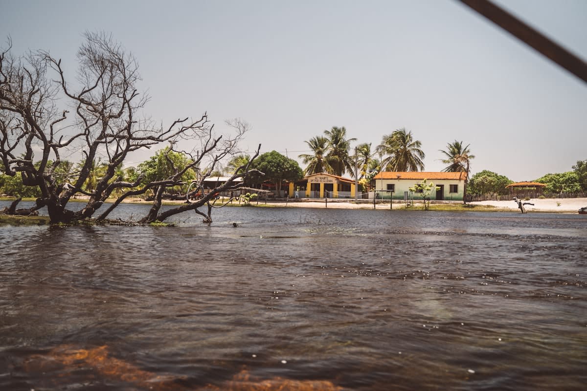 Drought affected river landscape in Amazon Brazil