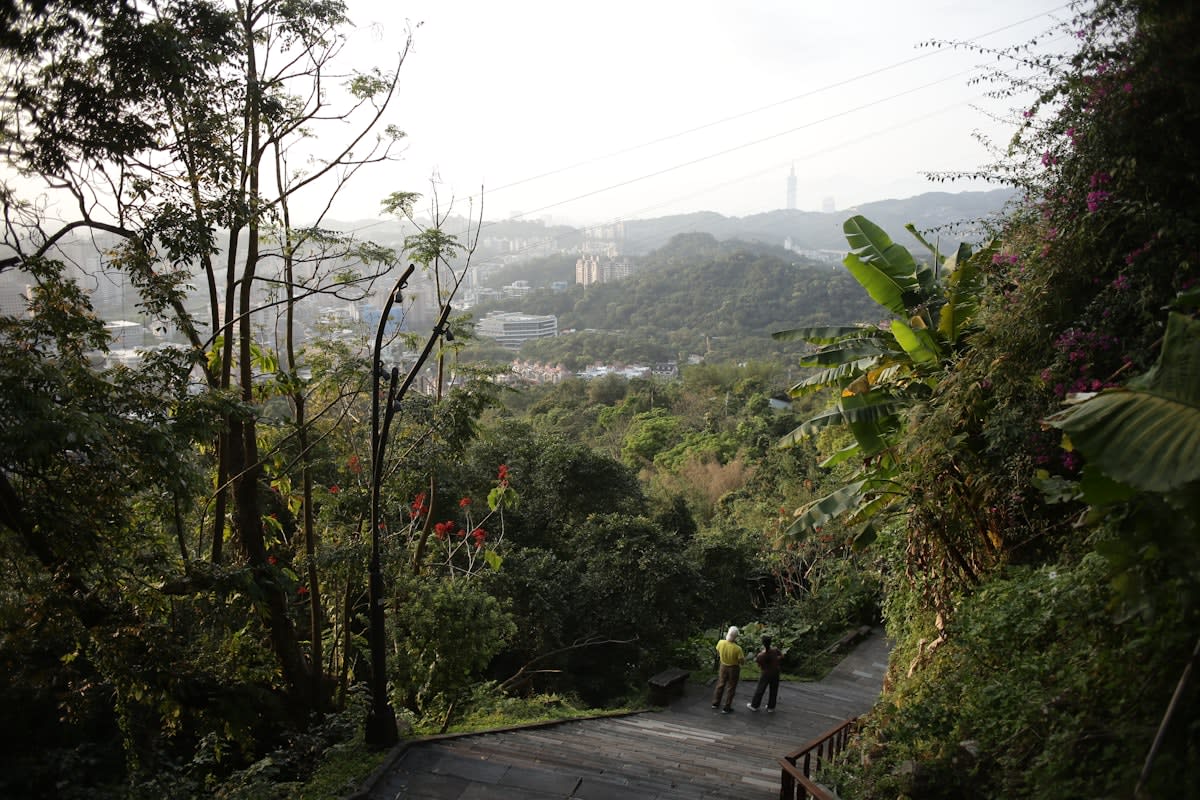 Tropical forest restoration near urban center