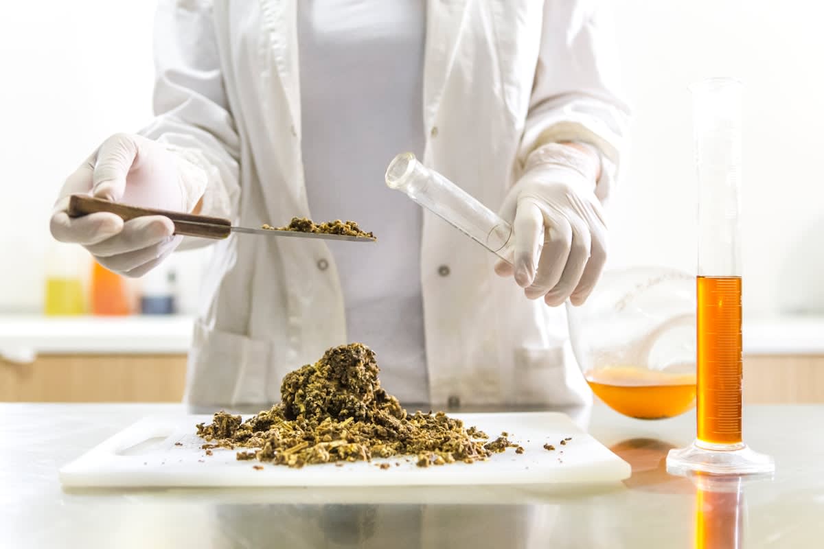 Close up of raw rare earth mineral samples in a laboratory