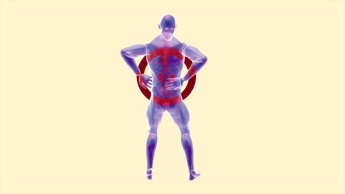 Diagram of muscle tension and release