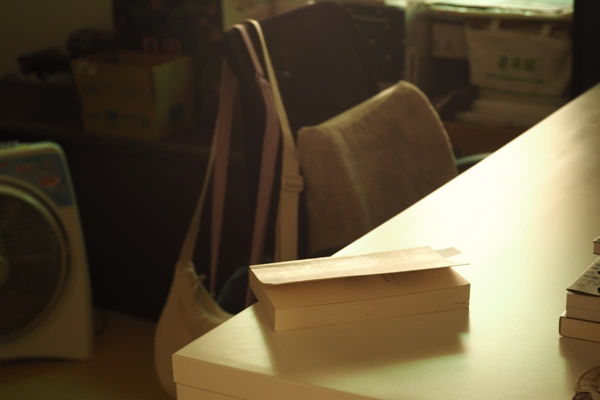 The Downshifting Blueprint: Engineering a Life of Intentional Under-Earning