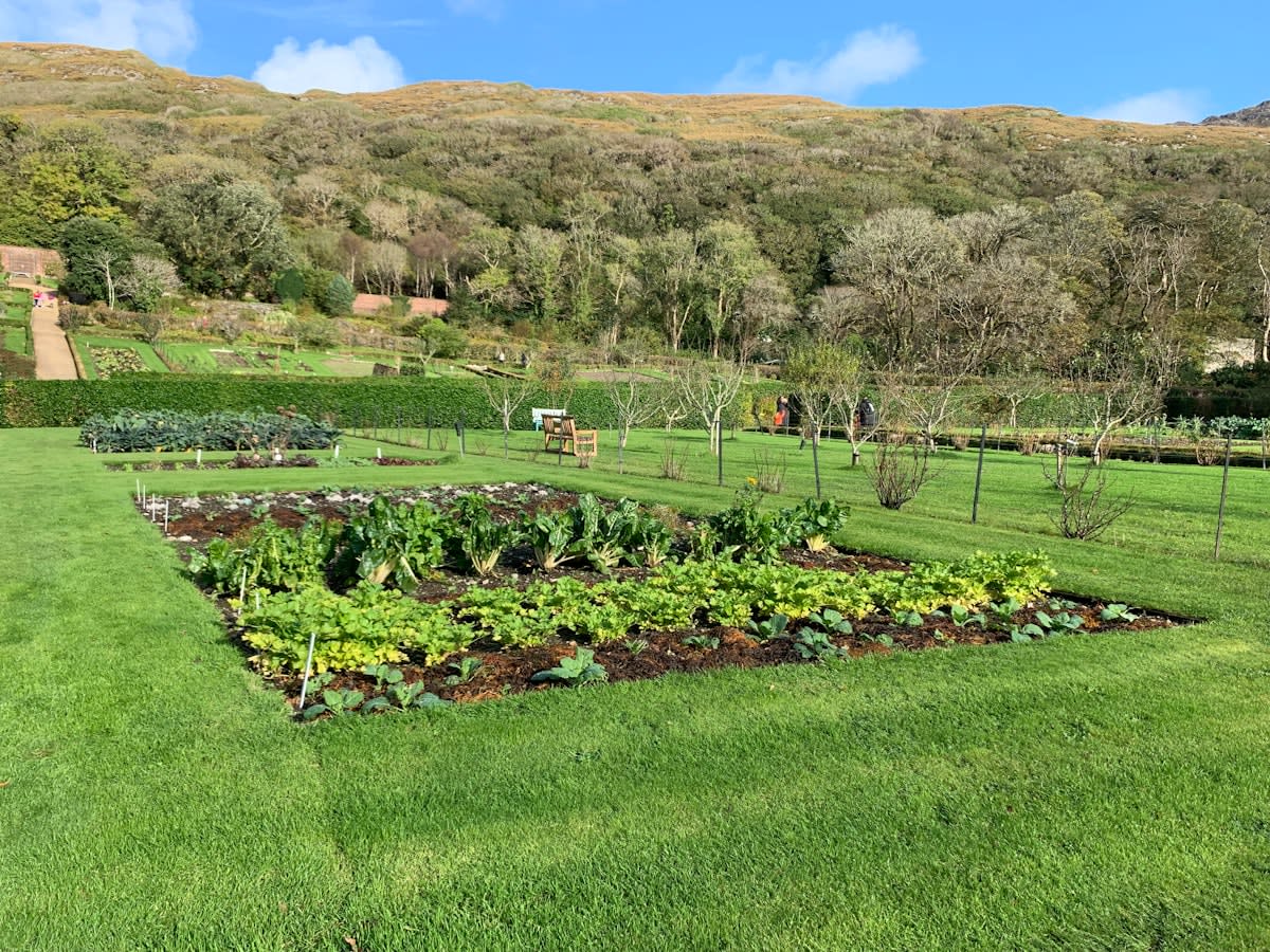 Regenerative garden with diverse crops and mulch