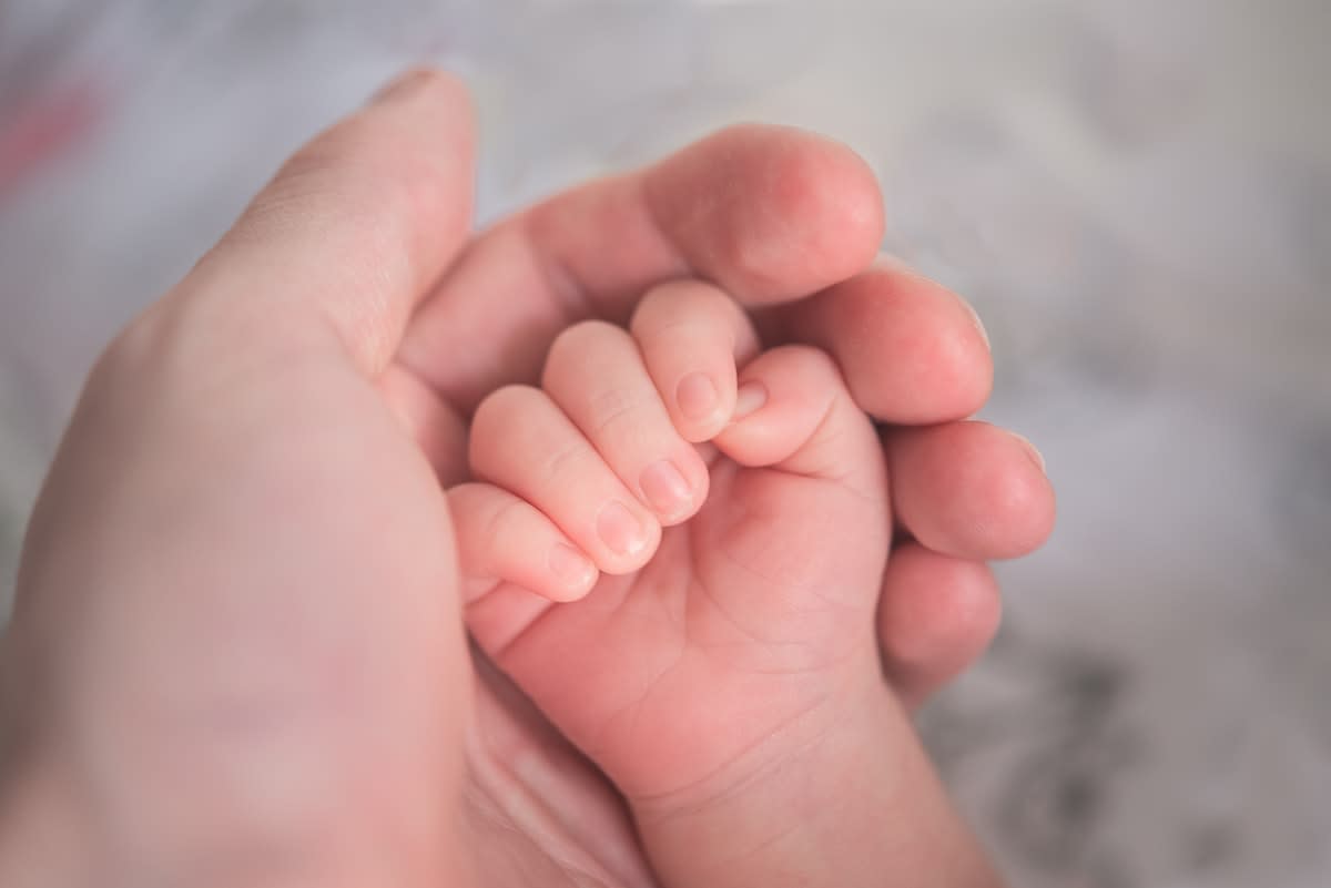 Close up of a newborn baby's hand holding an adult finger