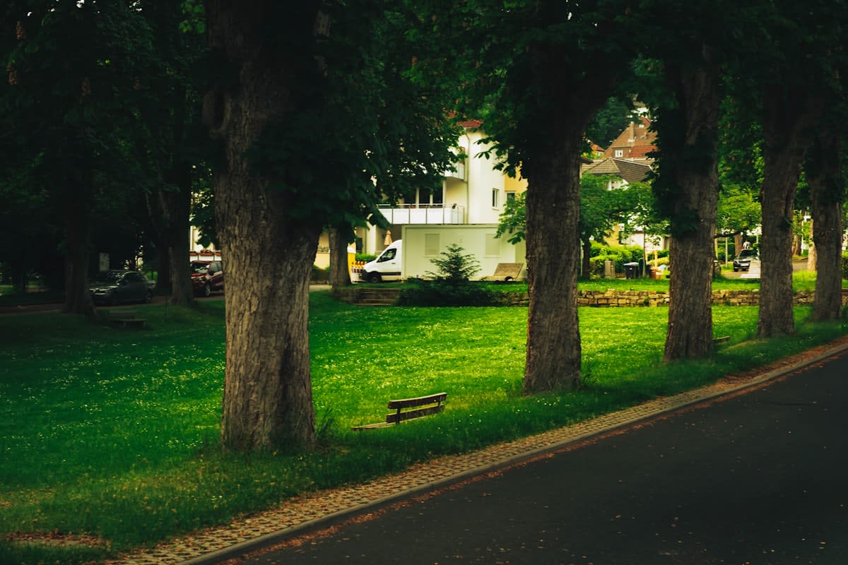 Lush green urban park with glowing plants