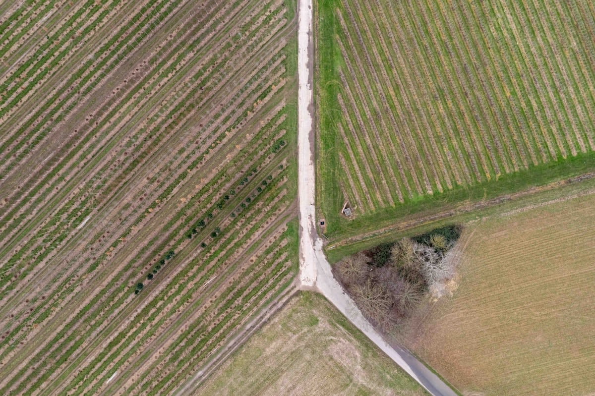 Aerial view of precision farming fields