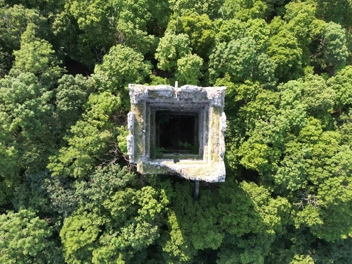 Aerial view of concrete fortifications in a forest