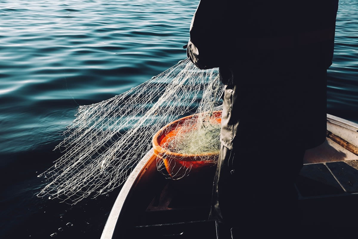 Commercial fishing nets with squid