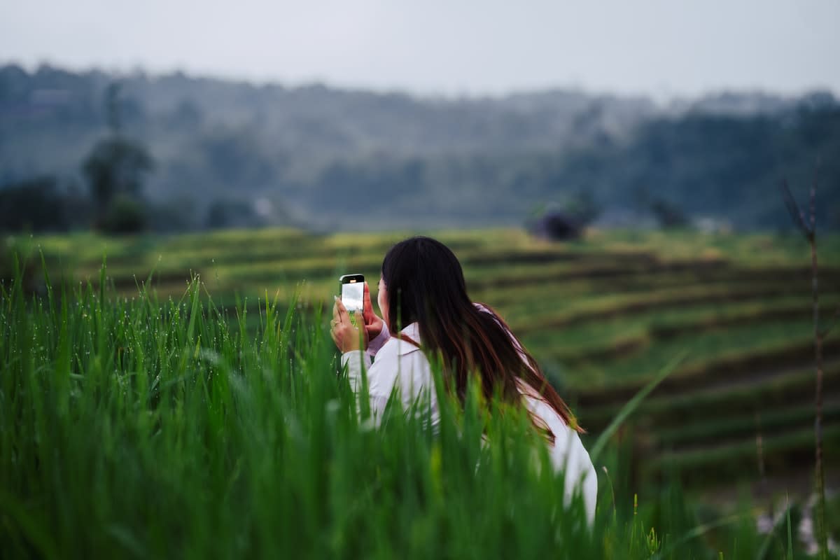 Farmer using a smartphone in a lush green field