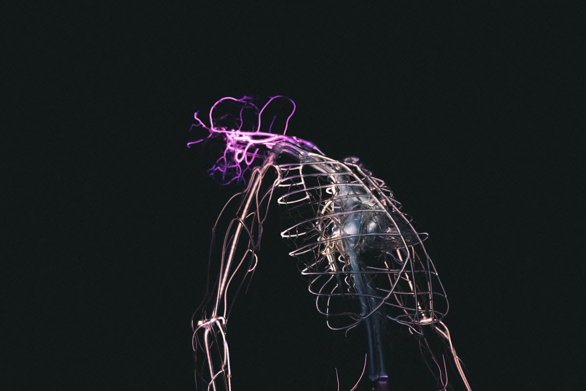 Bio-inspired soft robotic actuator mimicking human muscle fibers