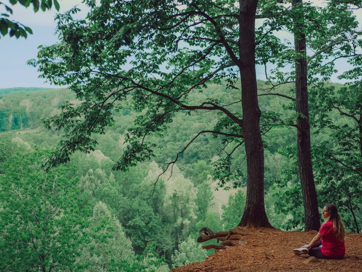 person meditating in a serene, natural environment