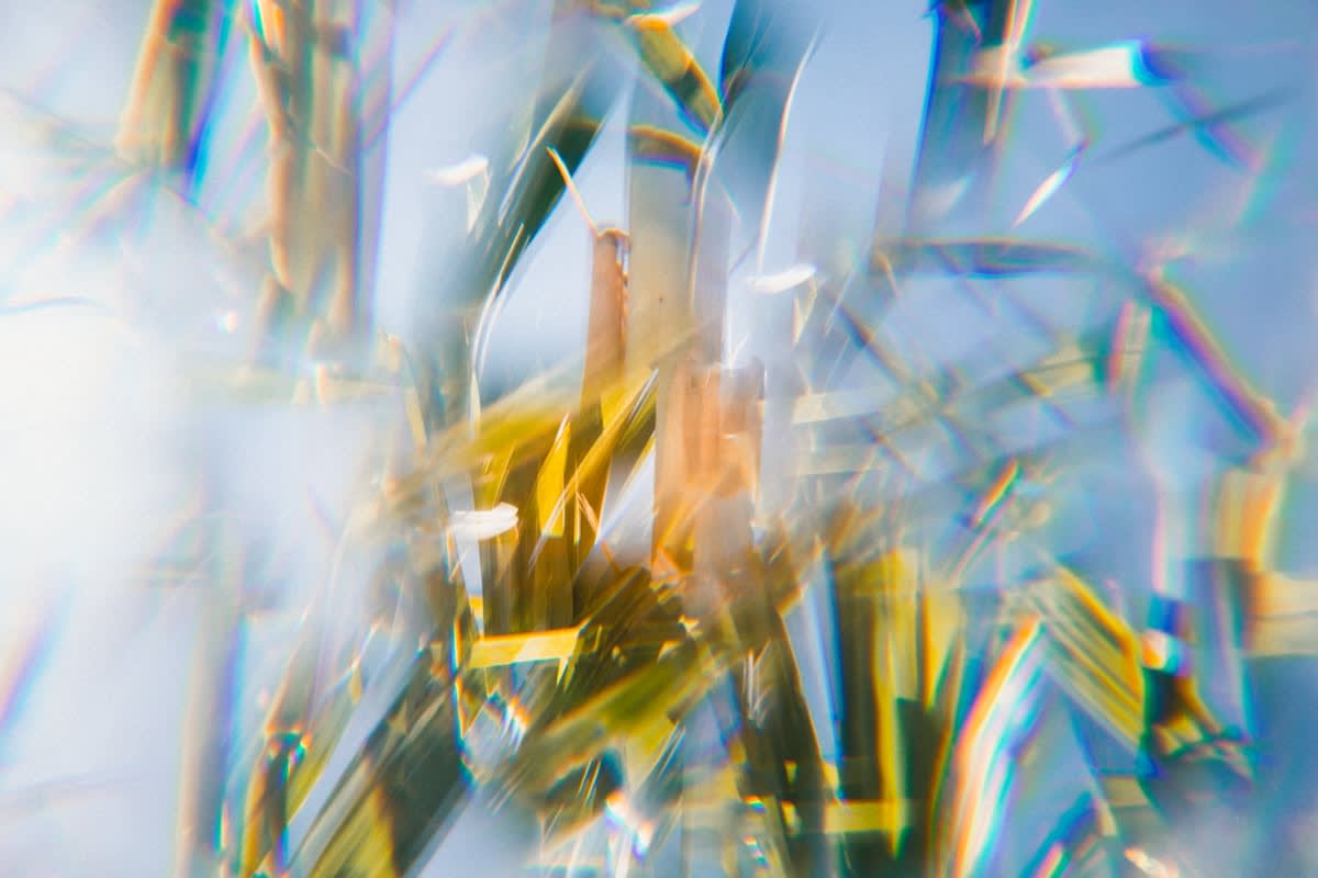 Abstract image of shattered glass reflecting different colors