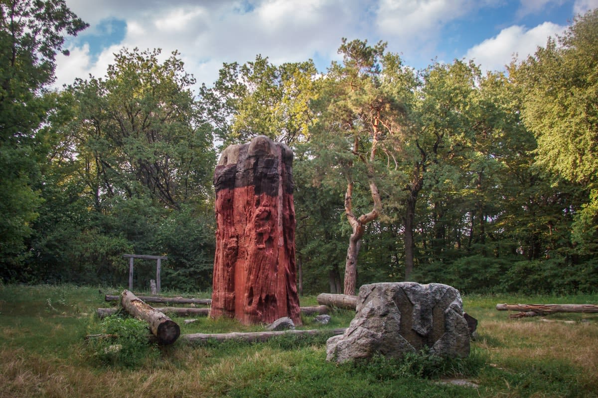 Ancient forest landscape
