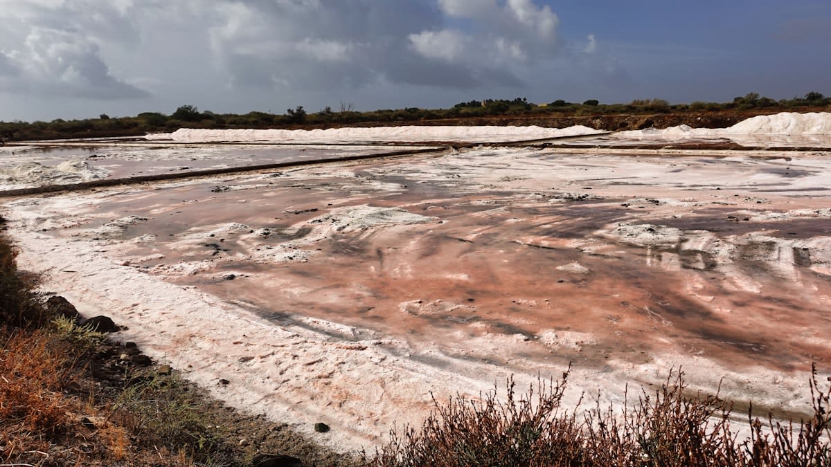 Lithium evaporation ponds