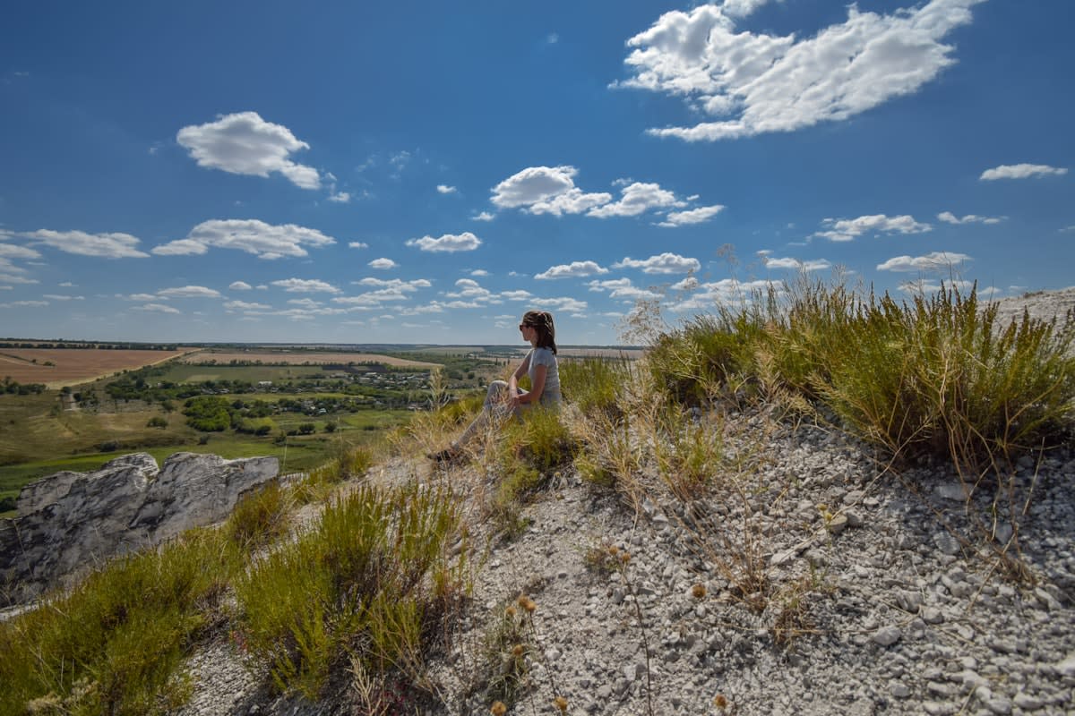 A person looking at a wide open landscape