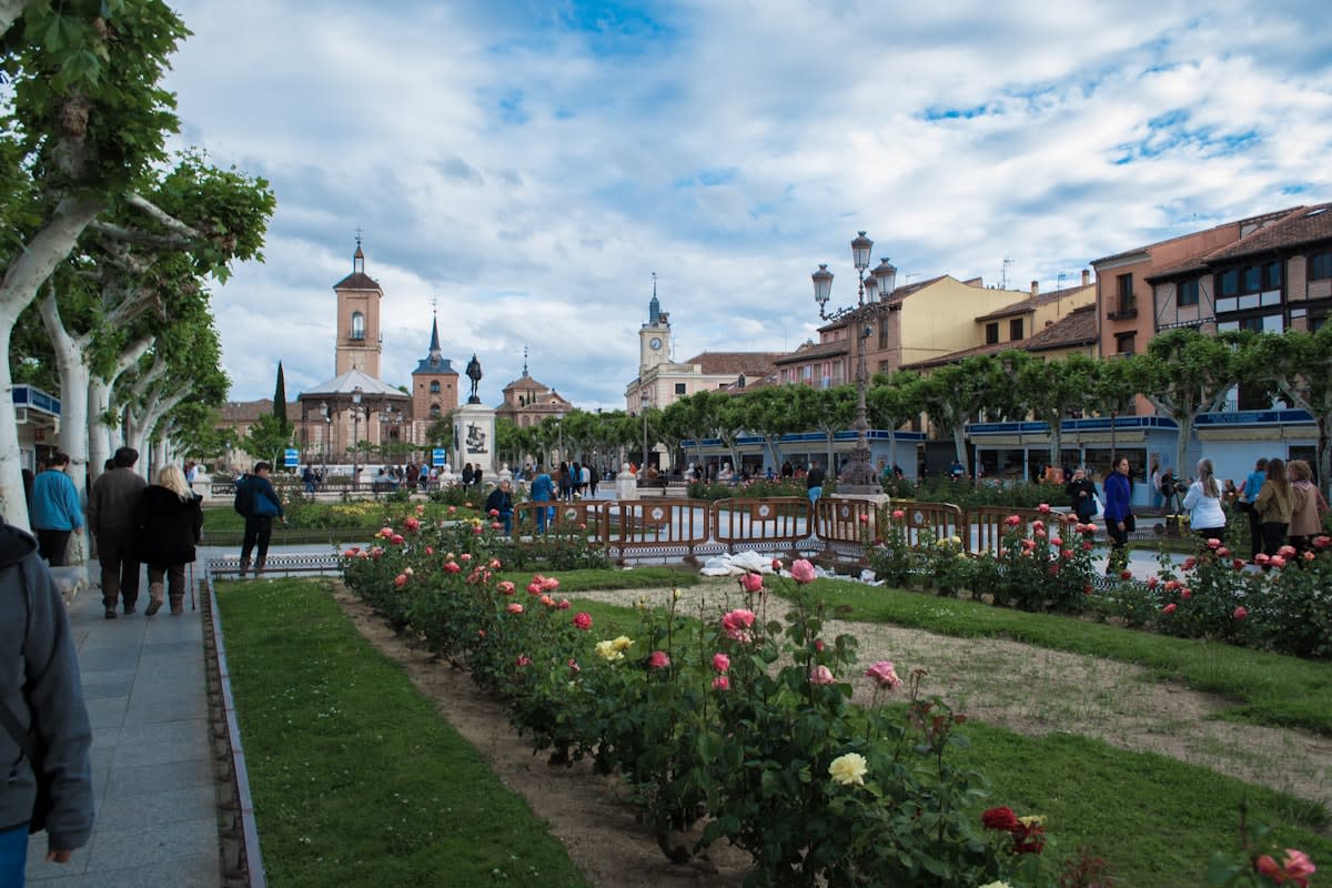 Urban rain garden in a city