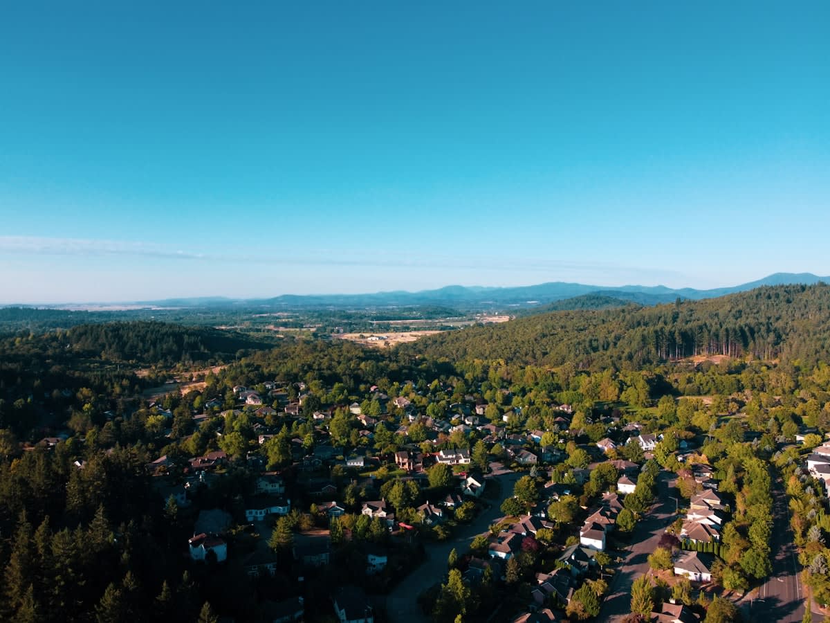 Aerial view of a town blending into a forest