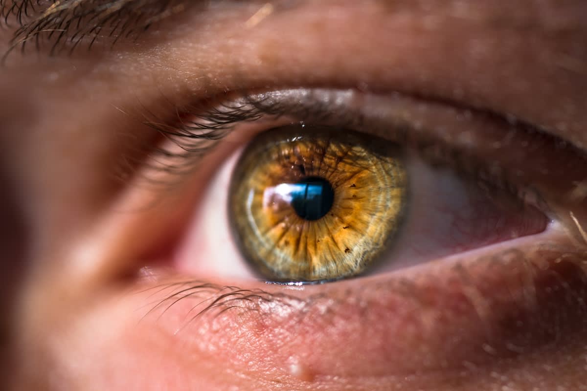 Close up of a focused athlete's eye
