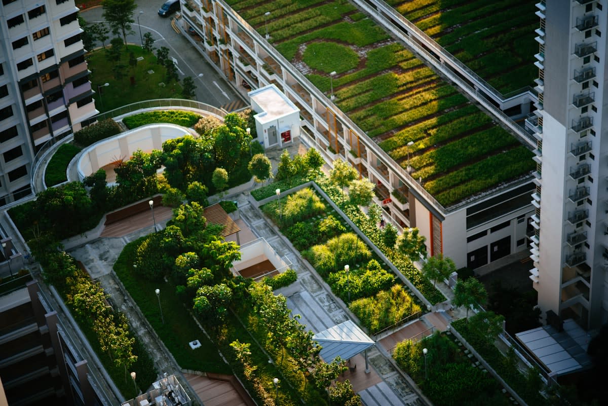 Modern urban rooftop garden in a city