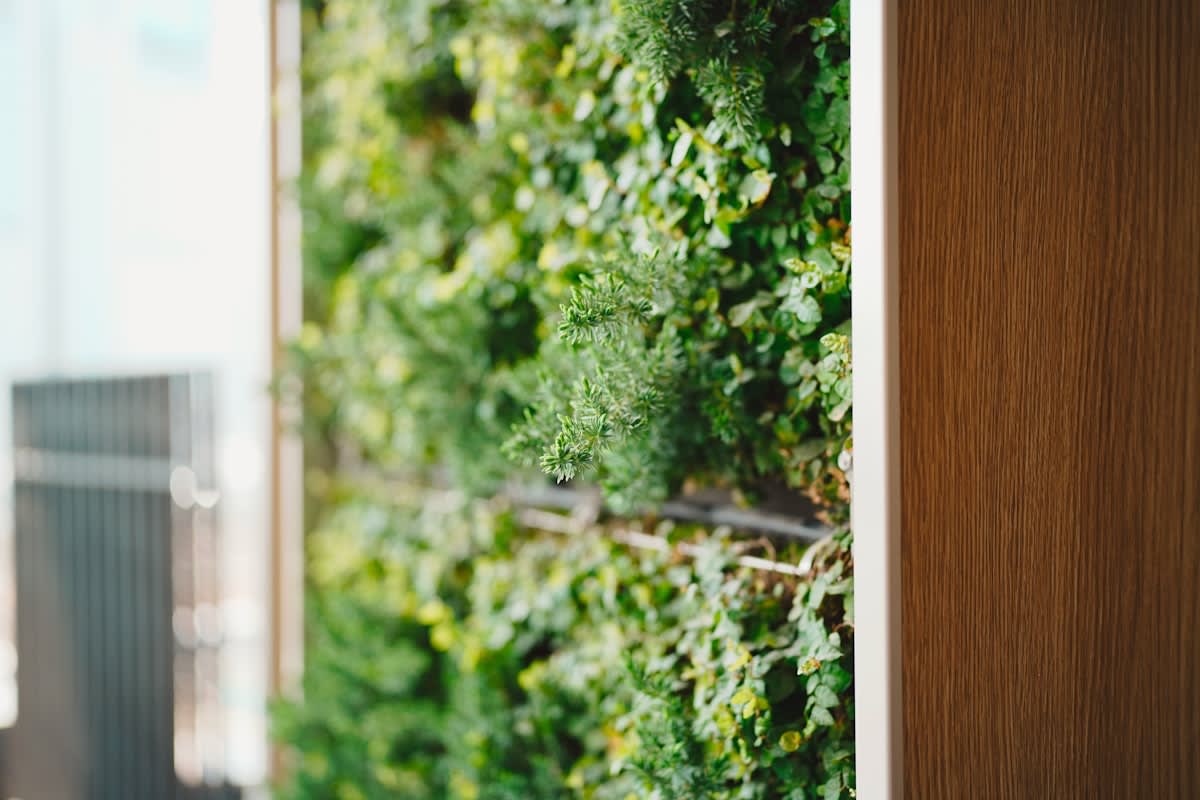 Modern biophilic office with living walls and natural light