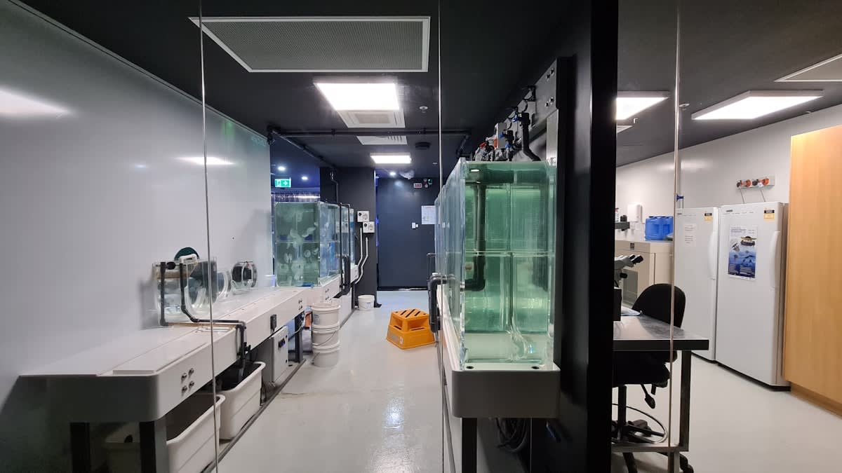 High tech laboratory for insect rearing