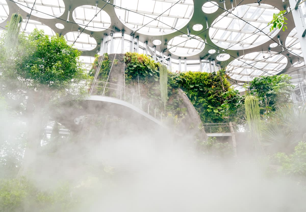 Urban biophilic interior with vertical gardens and natural light