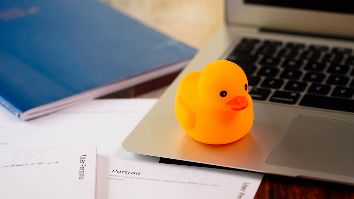 A person explaining a complex diagram to a rubber duck on a desk