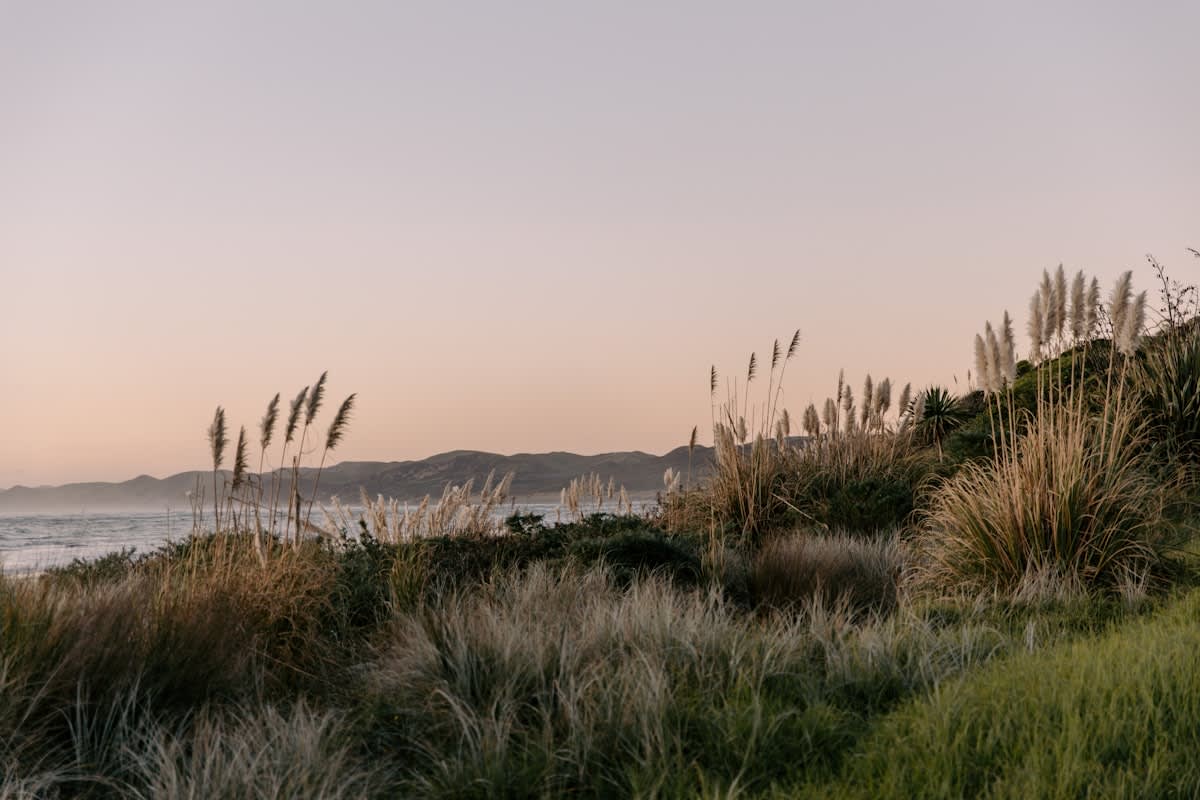 Serene coastal landscape with slow travel vibes