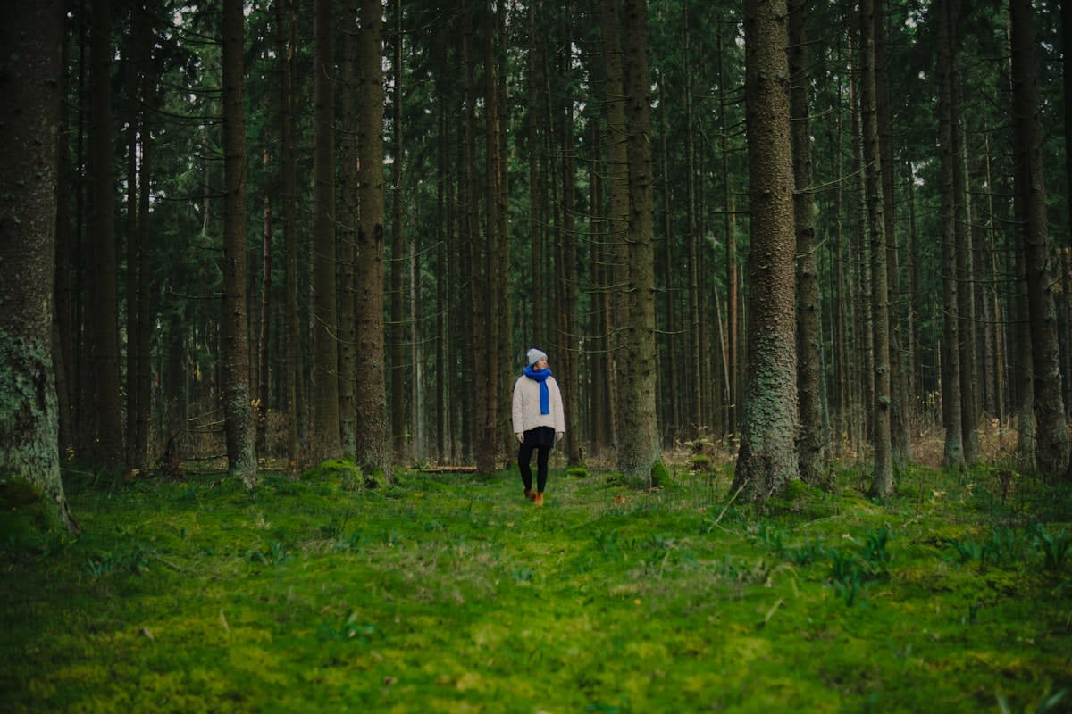 A person exercising in a serene, natural environment