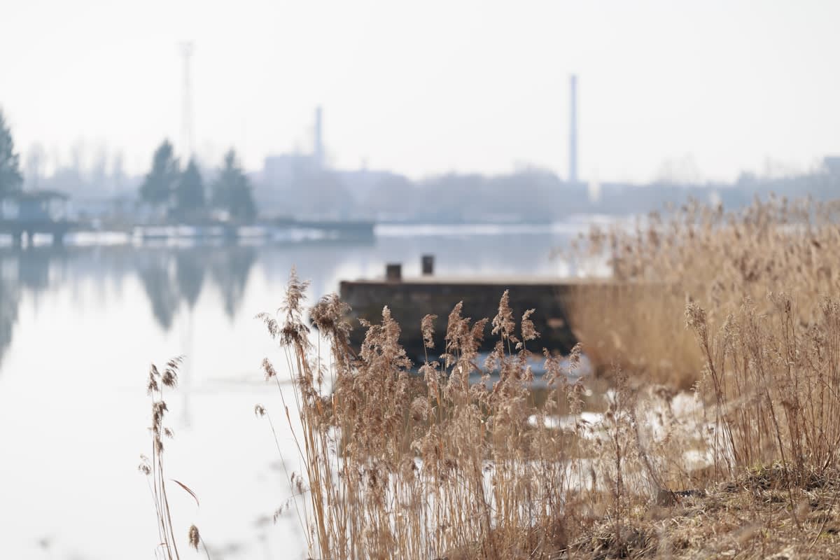 Industrial scale wind farm in a misty, still landscape