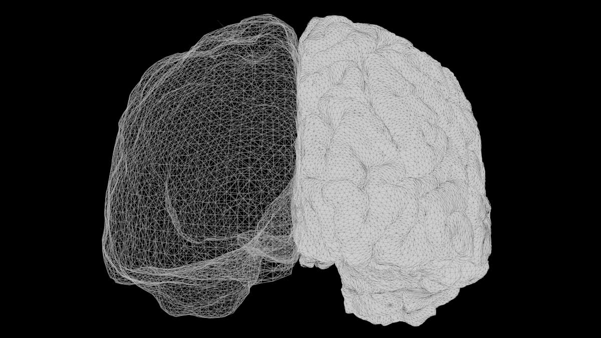 digital brain analysis data