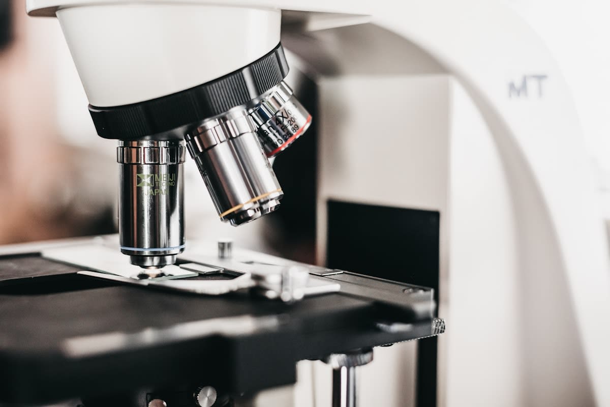 Laboratory microscope view of cells